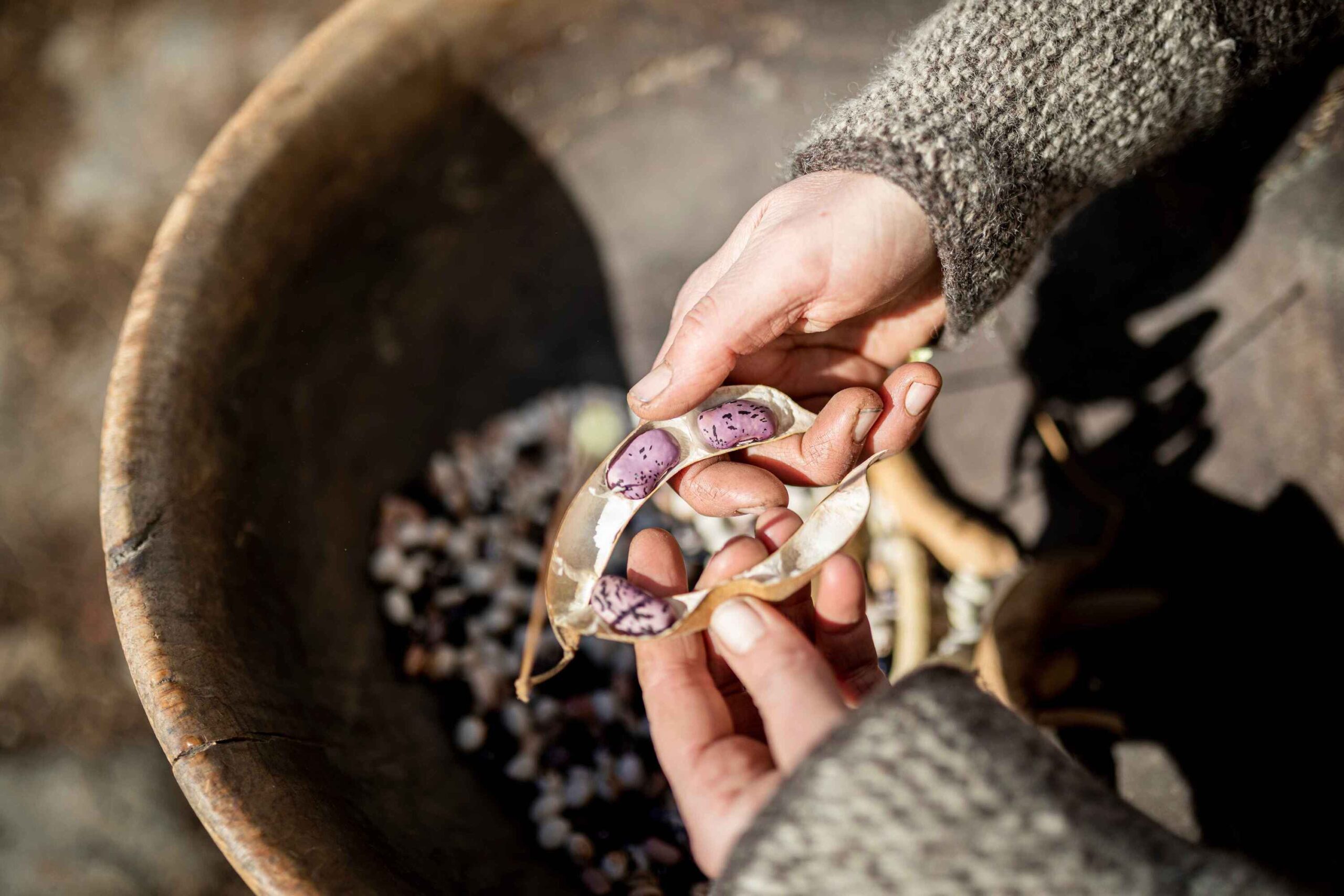 20802340265cbe0e4f25