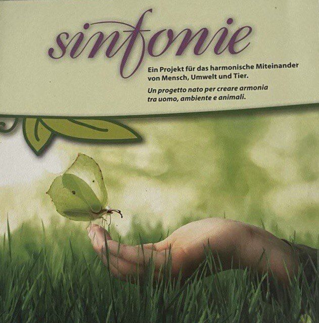 d830dab944ee3ac969ac