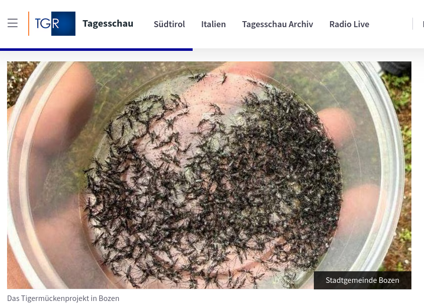ZANZARE, MOSCHE, ZECCHE, ECC.