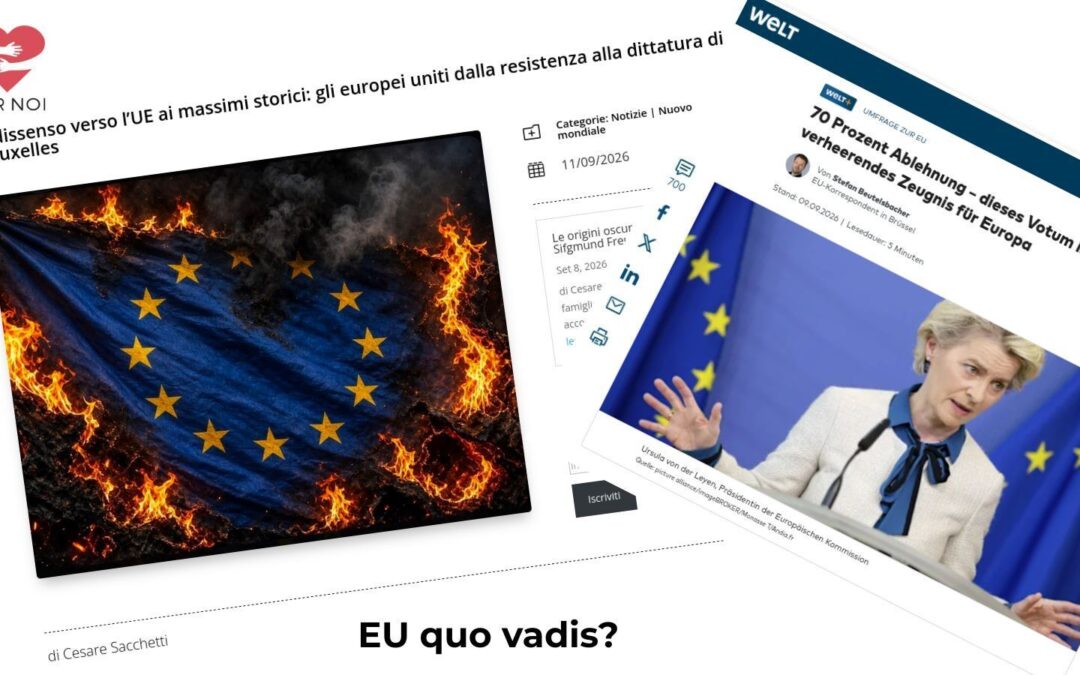 INSODDISFAZIONE NEI CONFRONTI DELL’UE COME MAI!